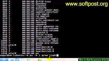 How to find the process id in Fedora