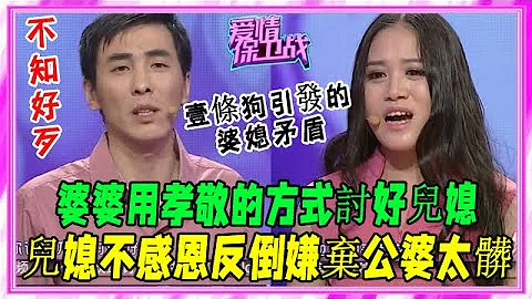 婆婆用孝敬的方式討好兒媳，反而被嫌棄太髒，原因竟是因爲壹條狗#愛情保衛戰#塗磊#情感#刺激名場面 - 天天要聞