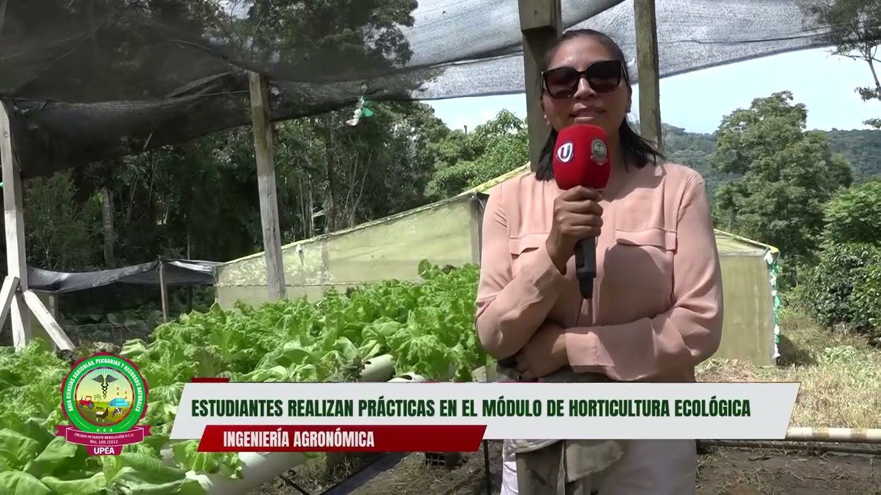 ESTUDIANTES DE INGENIERÍA AGRÓNOMICA REALIZAN PRÁCTICAS EN EL MÓDULO DE HORTICULTURA ECOLÓGICA