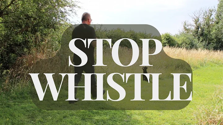 Dog Safety: Teach the Stop Whistle in Seconds!
