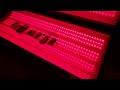 NovoThor Bed Red Light Therapy Tested!
