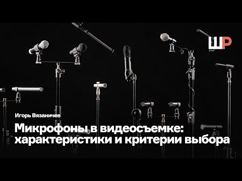 Микрофоны в видеосъемке | Характеристики и критерии выбора | Игорь Вязаничев
