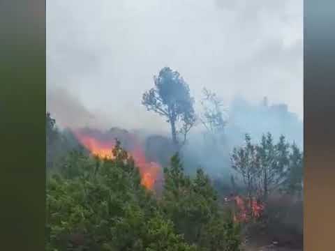 حريق يندلع بغابة إغري بدمنات-أزيلال