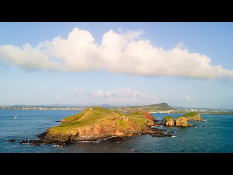 제주도 차귀도 드론 4k 60fps [매빅에어2]