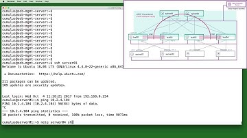 NetQ EVPN Demonstration- Diagnostic scenario