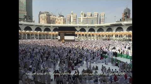 سورة مريم وطه حتى الآية ٨ للقارىء جاويد محمد نذير بجامع العين بجدة