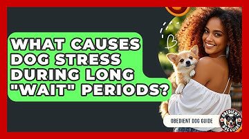 What Causes Dog Stress During Long "wait" Periods? - Obedient Dog Guide