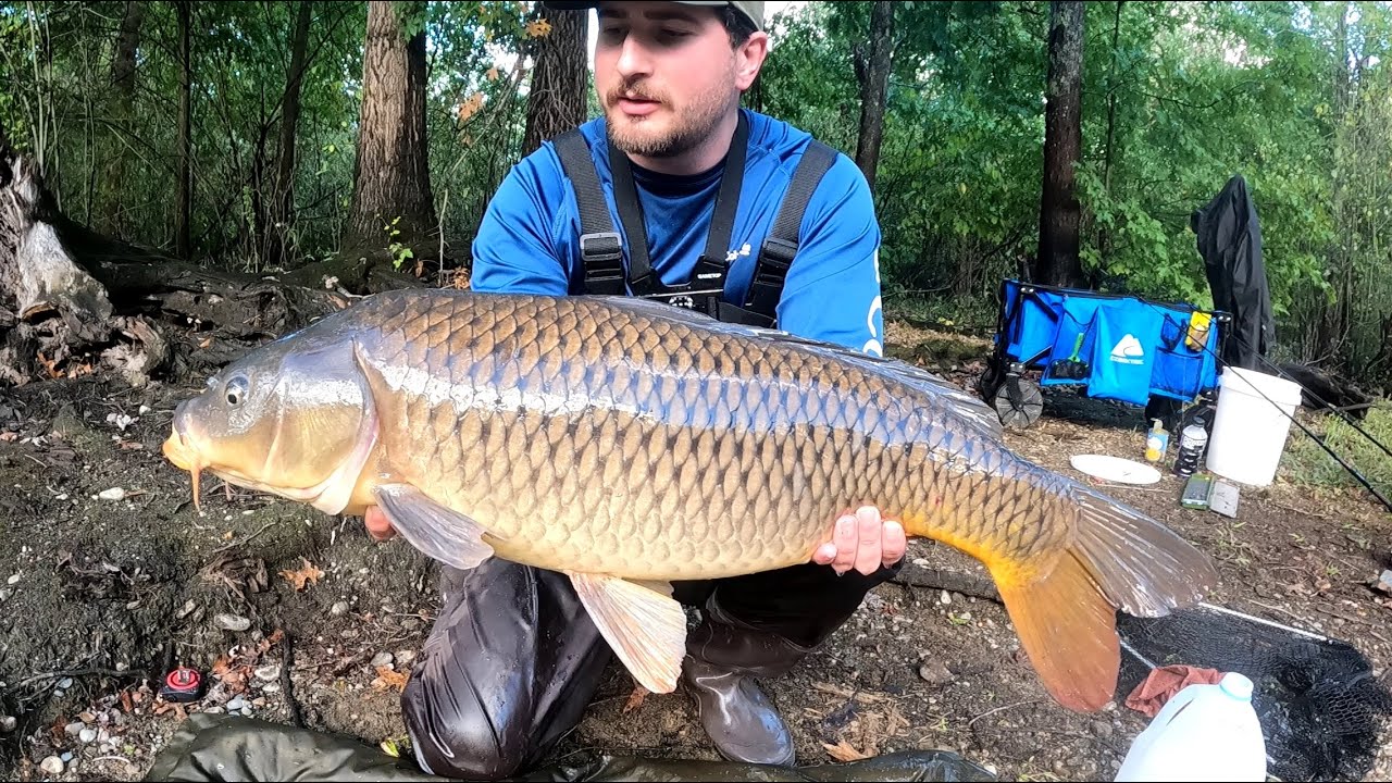 Massachusetts Carp Fishing During a Thunderstorm The Hunt for a Giant