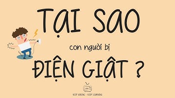 BẠN CÓ BIẾT | TẠI SAO CON NGƯỜI BỊ ĐIỆN GIẬT???!!!!