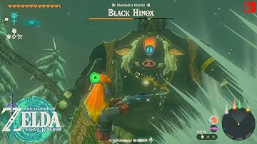 The Legend of Zelda TOTK - Defeat Black Hinox & Obtain Hinox Guts - Gerudo Highlands Snow
