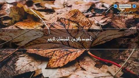 سورة طه كامله للقارئ (انس محمد)