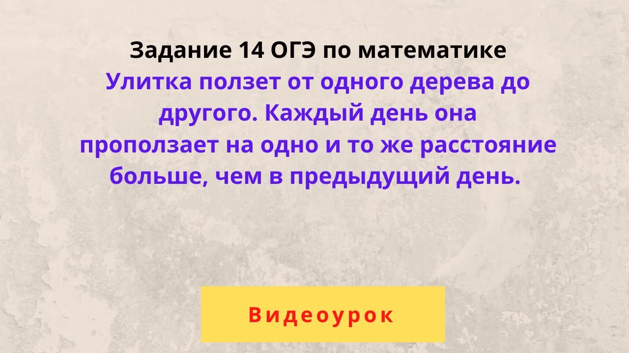 Улитка ползет от одного дерева до другого - YouTube