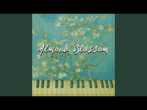 Almond Blossom