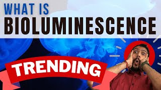 The Secret Behind Bioluminescent Bays | Bioluminescence explained in hindi | जुगनु केसे चमकते हैं |