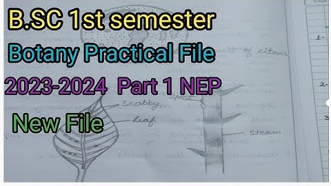 B.SC 1st semester Botany Practical File || B.SC 1st semester Botany Practical File All University
