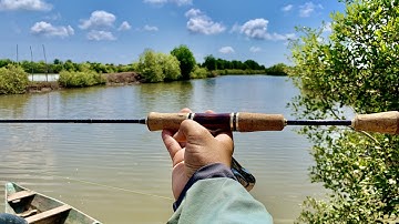 Câu Cá Ngát | BÌNH ĐẠI-BẾN TRE 2021 - Fishing Barramundi/Minh Fishing LURE [ Vlog 18]