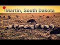 Late Season Goose Hunt Western South Dakota