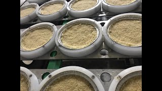 Yüksek Kapasi̇teli̇ Tam Otomati̇k Künefe Hatti