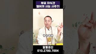 부모와 자식이 떨어져야 되는 사주와 궁합?! #사주 #shorts