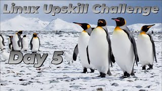 Famous [Day 5] Command line basics - Linux Upskill Challenge Profile