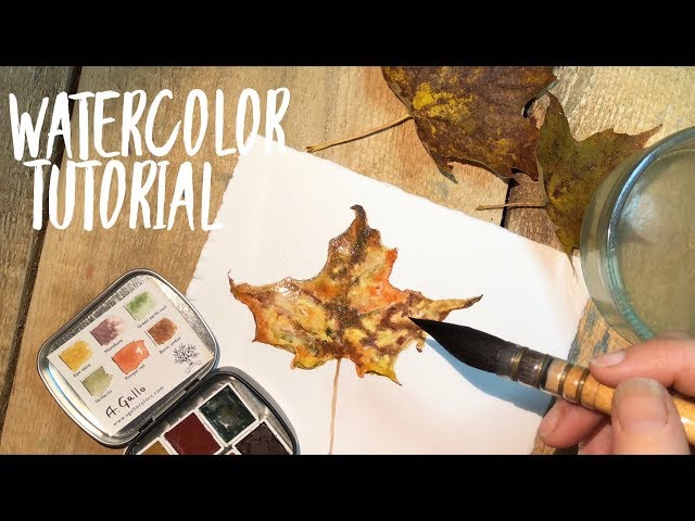 Watercolor Tutorial: fall leaf ~ WATERCOLOUR by Scarlett Damen class=