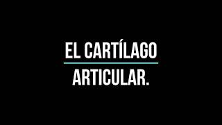Luis Guillermo Yáñez Mejía-10