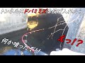 ミミズを流して待ってたら・・・ ヌシが現れた!!