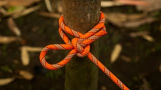 Not Many People Know These 3 Survival Knot Secrets