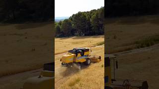 Tractors reaping up the wheat fields 🌾🙏🏼❤️