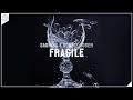 Sauniks &amp; Robbie Rosen - Fragile (Lyric Video)