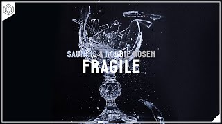 Sauniks & Robbie Rosen - Fragile (Lyric Video)