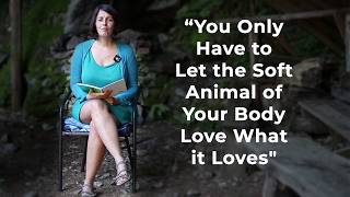 “You Only Have to Let the Soft Animal of Your Body Love What it Loves" screenshot 2