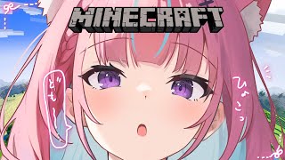 【Minecraft】地　下　帝　国　拡　大【湊あくあ/ホロライブ】