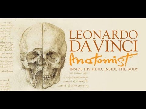 లియోనార్డో డా విన్సీ: శరీర నిర్మాణ శాస్త్రవేత్త