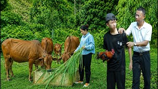 Lý Tử Tiêu starts a new job, while Uri steps up to protect the farm to the bitter end. screenshot 3