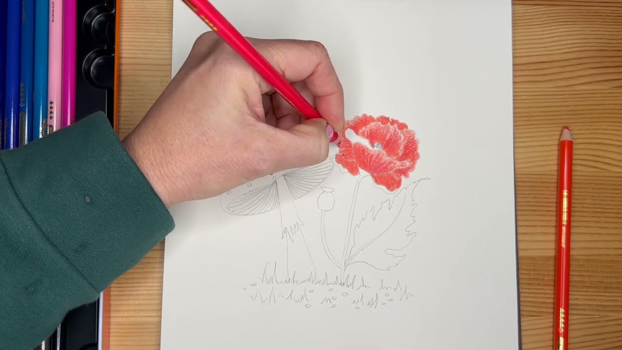 Красочный рисунок карандашами WOOMER.