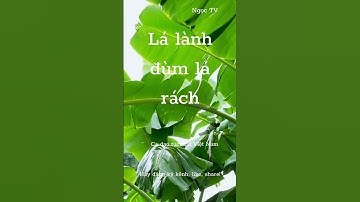 Lá lành đùm lá rách