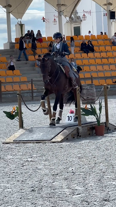 Working Equitation 🇵🇹 Endiabrado & Lara Carreira 2024 Alter Real #equestrian #horse #horselover