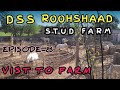 DSS ROOHSHAAD STUD FARM | VIST TO FARM | EPISODE-8