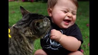 قطط مضحكة جداً شاهد القطط مع الأطفال 2018