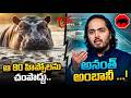 ఆ 80 హిప్పోలను చంపొద్దు.. ! Anant Ambani Steps In to Save Colombia Hippos | TOne News