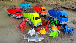 Membersihkan Truk Tronton Pasir Dan Menemukan Mainan Sapi, T-rex, Ikan Hiu, Buaya, Kelinci, Panda