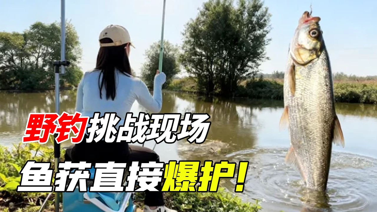 美女釣手狂釣半天，魚獲直接爆護，這波真的血賺嗎？
