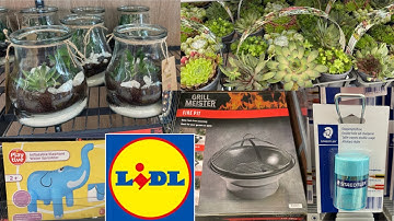 LIDL COME SHOP WITH ME | JULY WHAT’S NOW IN  LIDL | LIDL MIDDLE AISLE