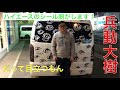ハイエースのシールを剥がしにきました！剥がすの？そりゃ剥がすよ。