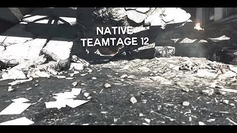 Native Teamtage 12