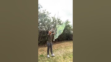 Sinusoidal Applications Video