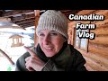 Homestead VLOG | Battling the Winter Blues