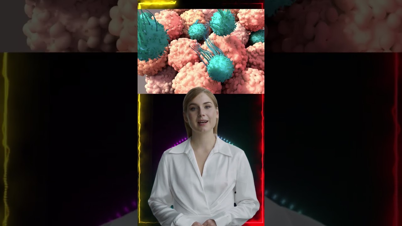 Game-changing universal receptor system developed for highly customizable CAR T cell therapy