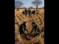 Life Million Years Ago
